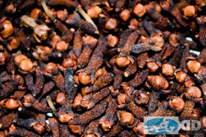Imgcloveoil2.jpg